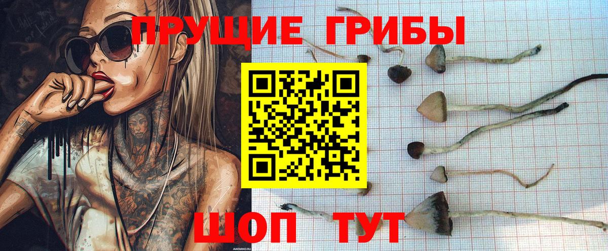 Псилоцибиновые грибы ЛСД  Вход с VPN  Шатура  Псилоцибиновые грибы Psilocybine cubensis 