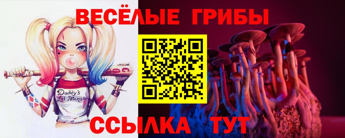 Псилоцибиновые грибы Cubensis Шатура